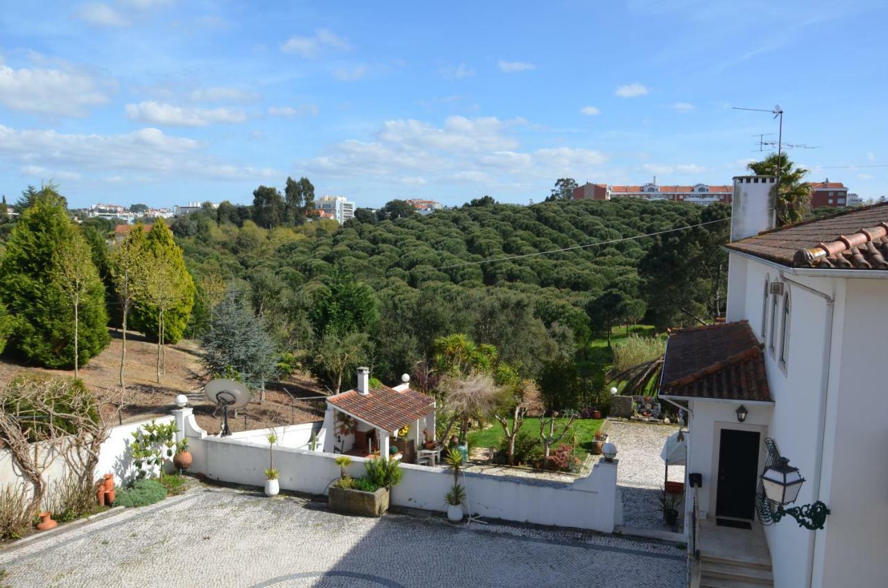 Casa Da Palmeira ليريا المظهر الخارجي الصورة