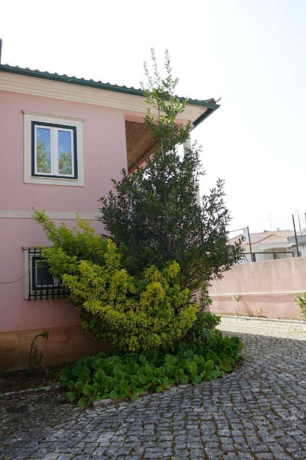 Casa Da Palmeira ليريا المظهر الخارجي الصورة